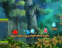 Ateş ve Su Orman Tapınağı