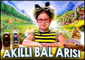 Akıllı Bal Arısı