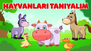 Hayvanları Tanıyalım