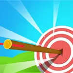 Arrow Count Master 2