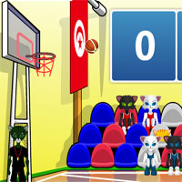 Basketbolcu Kedi