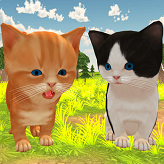 Kedi Simülatörü