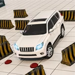 Araba Park Etme 2024